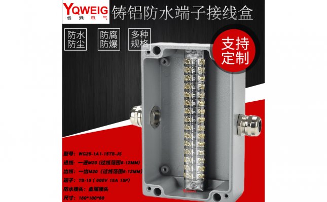 WG25-1A1-15TB-JS-鑄鋁端子接線盒
